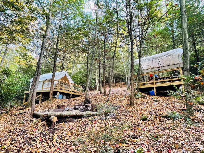 Tent platform and fire pit among hemlocks and hardwoods