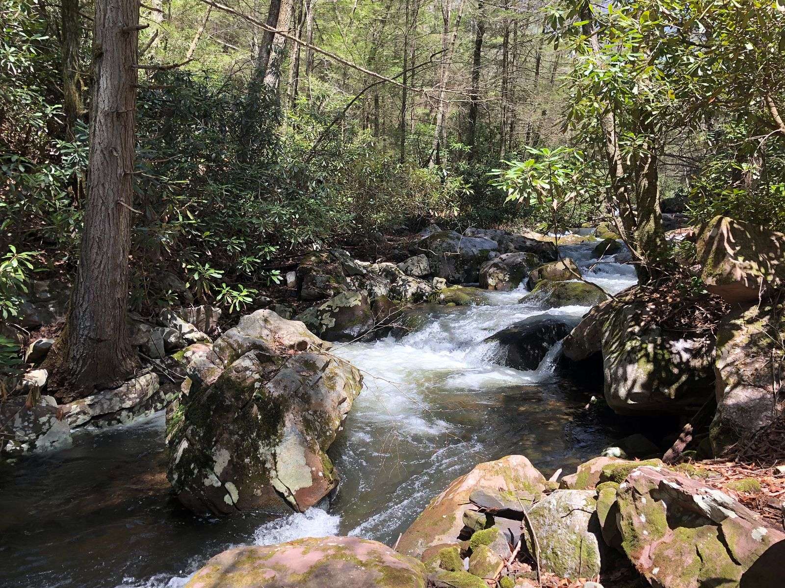 Bear Creek tumbling over boulders through the forest at Camp Dietrich